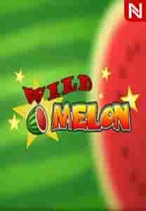 Wild Melon